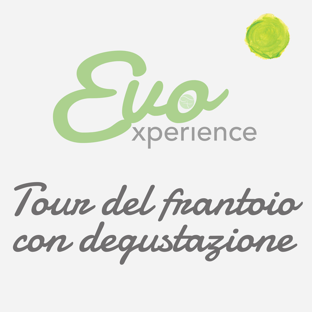 Tour privato in frantoio con degustazione guidata degli oli