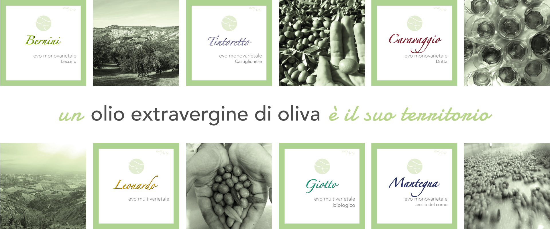 Olio e Territorio - Frantoio Tini